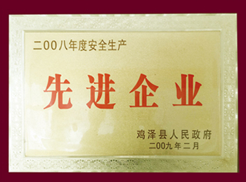 2008年度安全生產(chǎn)先進單位.jpg